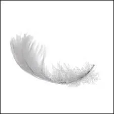 Logique - Quel est le plus lourd entre une tonne de plumes et une tonne de fer ?