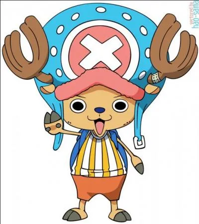 Quelle est la particularité de Chopper ?