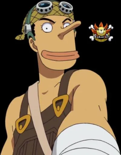 Quelle est la mentalité d'Usopp ?