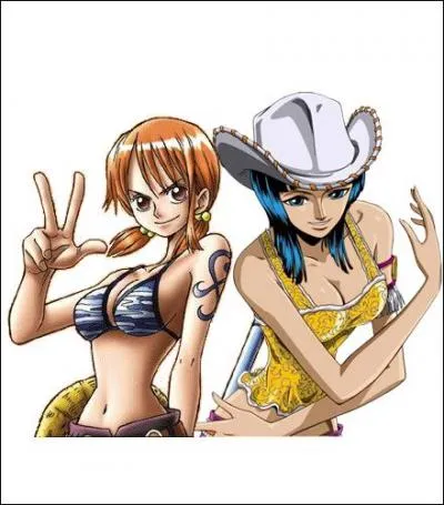 Quels surnoms donne Sanji à Nami et Robin ?