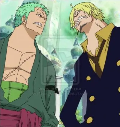 Sanji et Zoro sont-ils meilleurs amis ?