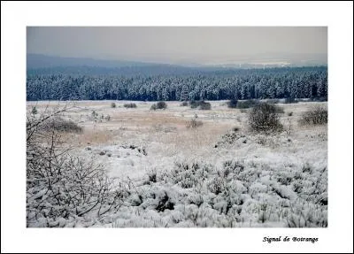 Dans quelle province belge pourrez-vous skier sur les pistes du Signal de Botrange ?