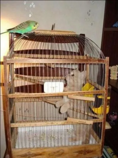 Pour terminer je te propose de regarder la photo et de trouver le proverbe qui lui correspond !