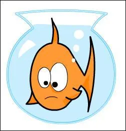 Vous m'admirez avec béatitude. Que répondre devant votre air niais ?