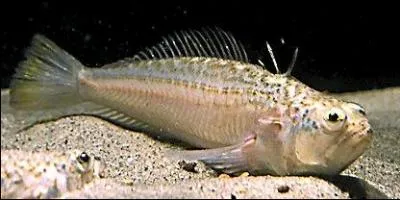 Quant à moi, par quoi suis-je souvent suivie ?