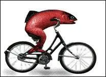 Mais que me fait cet imbécile qui se rabat juste devant moi ?