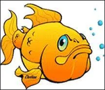 Toutefois quand nwt a tort, elle change de sujet de conversation :