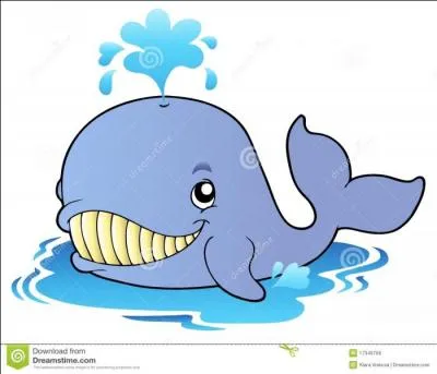 Qui sommes-nous pour pouvoir nous cacher dans les sous-vêtements féminins ?