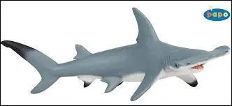 Quel est cet animal ?