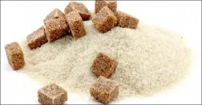 L'image proposée correspond à :