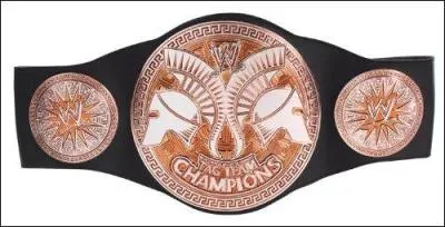 Quel est ce titre de champion de la WWE ?