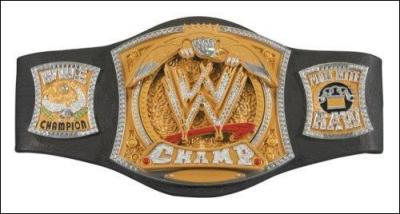 Quel est ce titre de champion de la WWE ?