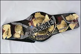 Quel est ce titre de champion de la WWE ?