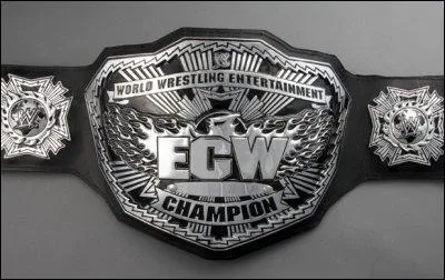 Quel est ce titre de champion de la WWE ?