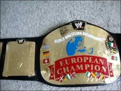 Quel est ce titre de champion de la WWE ?