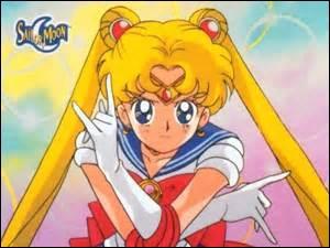 Quel est le personnage principal de Sailor Moon ?