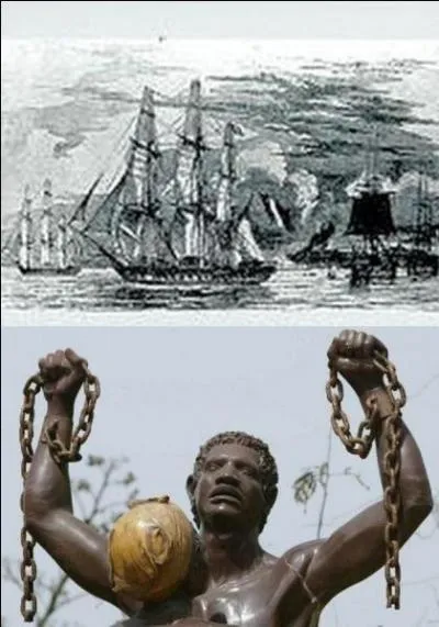 Quels sont les deux événements qui provoquèrent l'arrivée puis la production en masse de la betterave sucrière qui permit à la France de produire le sucre dont elle avait besoin pour sa consommation ?