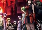 Quiz Akame ga Kill : personnages