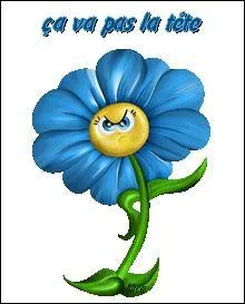 Comme moi, il s'est battu contre les auteurs fumistes qui galopaient au top auteur avec leurs quiz trop courts, Yéyéfanie n'était pas avare de travail pour créer toujours de longs quiz habilement décorés :