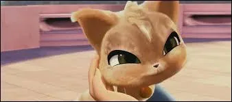 Comment s'appelle son chat dans le film (Le Secret du royaume perdu) ?