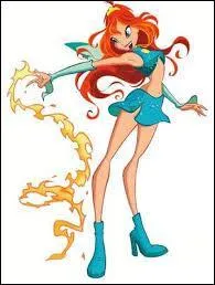 Quel est son pouvoir ?