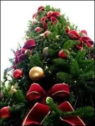 Quand dit-on que ça sent le sapin ?