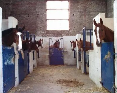 Quand dit-on que ça sent l'écurie ?