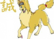 Quiz Personnages de Naruto en chiens