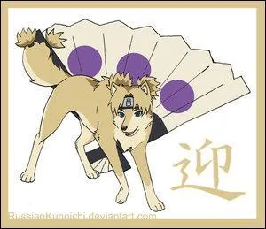 Pour finir avec Suna, la sur des 2 précédents.