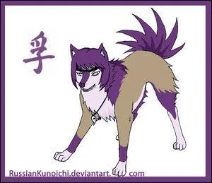 On passe au village le plus important, Konoha.