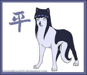 Une chunnin (lorsqu'elle est representée en chien, car tous les chiens sont représentés dans les Shippuden) qui est amoureuse de Naruto.