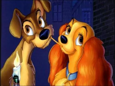 Quel est le couple qui n'existe pas ?