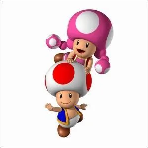 Toadette est-elle l'amoureuse de Toad ?