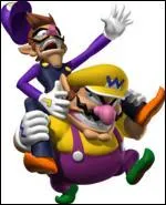 Wario et Waluigi sont-ils fr&egrave;res ?