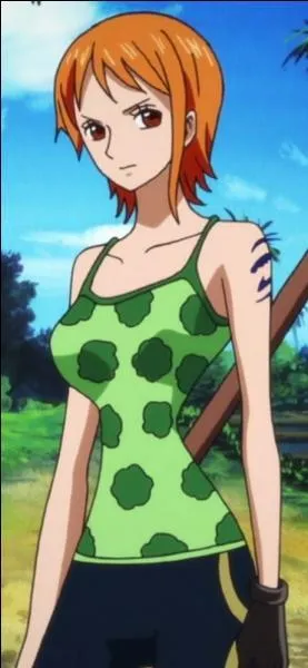 Pour qui Nami rassemblait-elle 100 000 000 Berrys ?