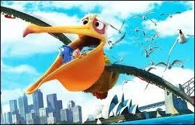 Quel est cet oiseau ?