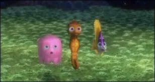 Qui sont les copains de ce petit poisson ?