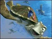 Le père du petit poisson s'est endormi sur lui, comment s'appelle-t-il ?