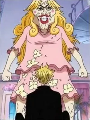 On pourrait faire un quizz uniquement sur les travestis de cette île tant ils sont nombreux... Mais on va juste se contenter de cocher le nom de celui-ci, qui tente de faire de Sanji un Okama. Il s'appelle :