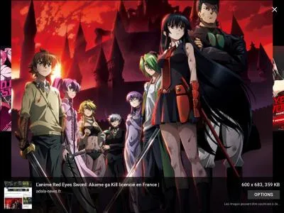 Ce groupe d'assassins s'appelle Nithraid.