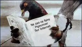 Que signifie l'expression "se faire pigeonner" ?