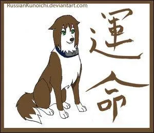 Une petite qui habite Suna :