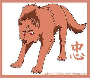 Voici maintenant les 3 qui forment l'quipe Taka avec Sasuke :