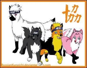 Quelle quipe est-ce ?