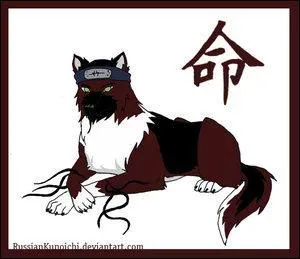 Le binme du prcdent :