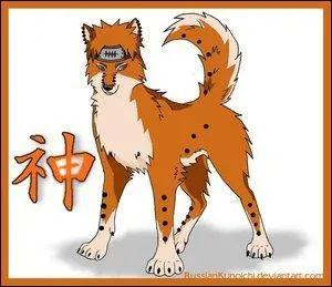 Il a dtruit Konoha :