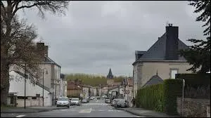 Nous sommes à La Forêt-sur-Sèvre. Commune picto-charentaise, elle se situe dans le département ...