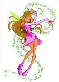 Quel est son pouvoir ?