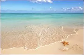 L'eau de la mer est-elle bénéfique pour certaines maladies ?