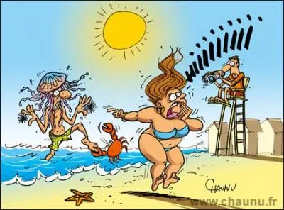 Quelle est la chose à ne pas faire lorsque l'on se fait piquer par une méduse ?